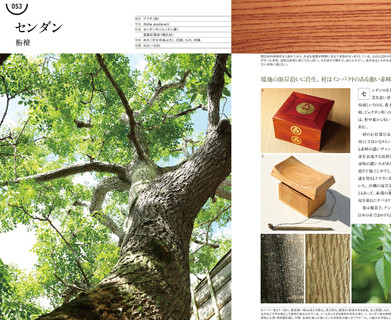 樹木と木材の図鑑