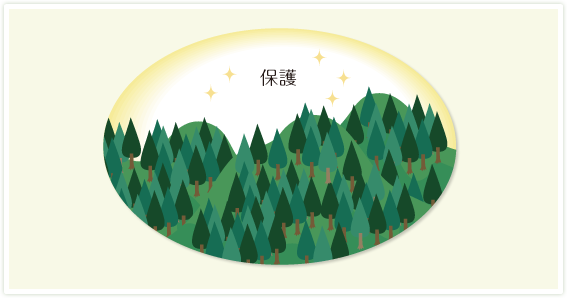 木づかいは「日本の森林を守る」